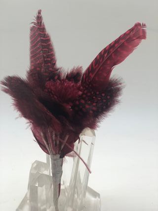 plumas