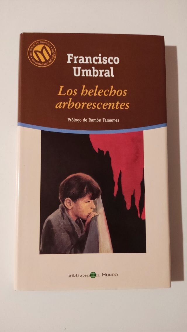 Los helechos arborescentes 