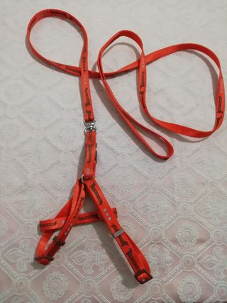 Pettorina e guinzaglio con fiocchetto