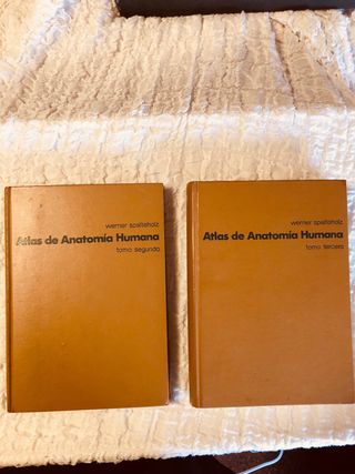 Atlas de Anatomia. Spaltejolz