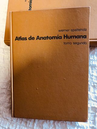 Atlas de Anatomia. Spaltejolz