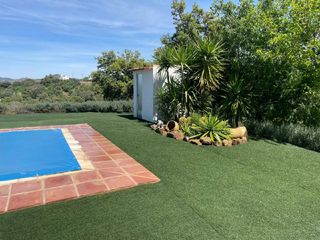 CÉSPED ♻️SIN LINEAS