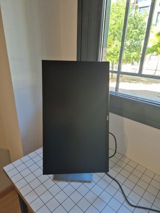 Monitor DELL