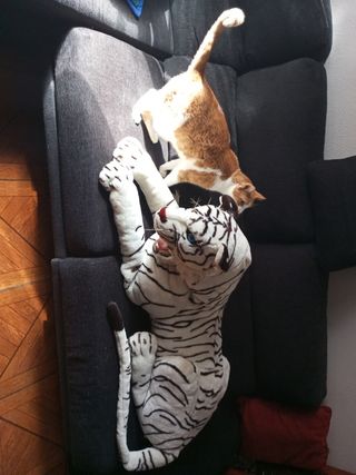 Tigre albino de peluche