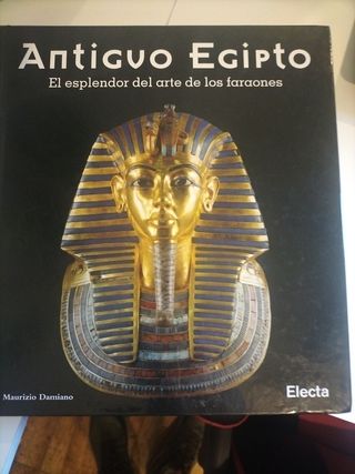 Libro antiguo Egipto Electa