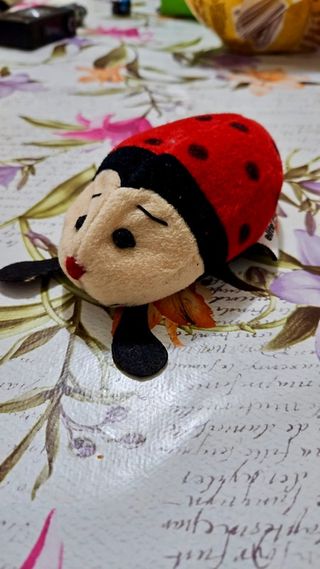 Peluche coccinella (ladybug) cancellino lavagna