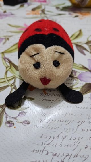 Peluche coccinella (ladybug) cancellino lavagna