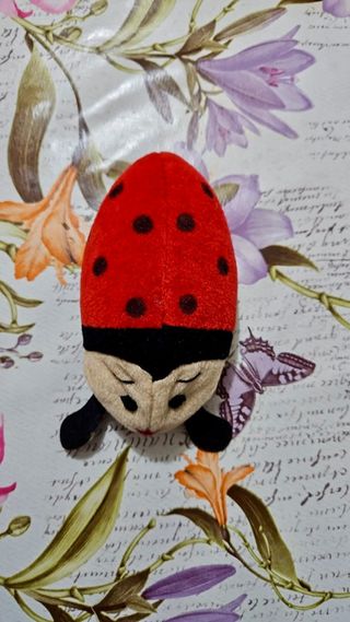 Peluche coccinella (ladybug) cancellino lavagna
