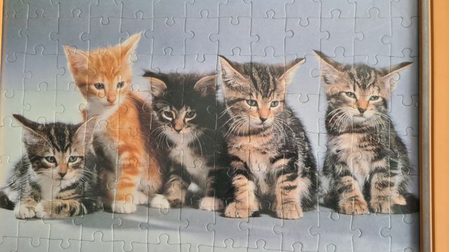 Puzzle de gatos enmarcado