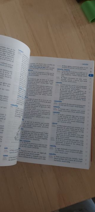 Diccionario primaria