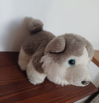 Peluche Husky