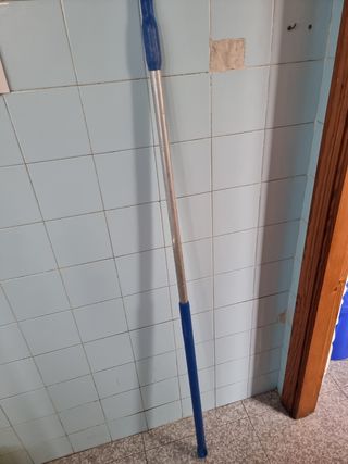Palo/caña limpieza ventanas o pintar