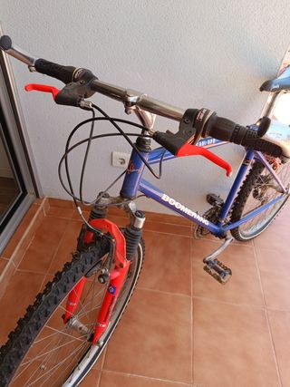 Bicicleta adulto