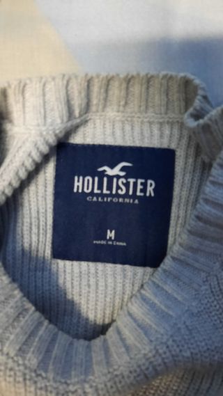 Jersey Hollister