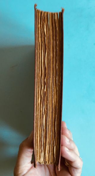 Orlando Furioso copia 1929