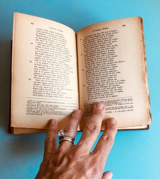 Orlando Furioso copia 1929