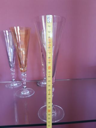 Calici