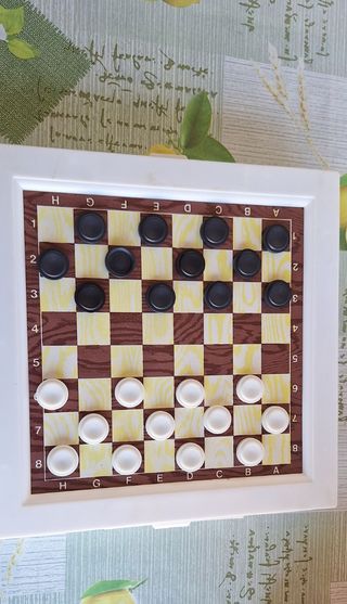 Gioco da tavolo scacchi e dama