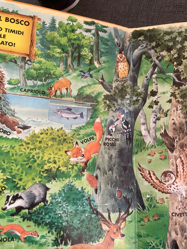 Libro il bosco