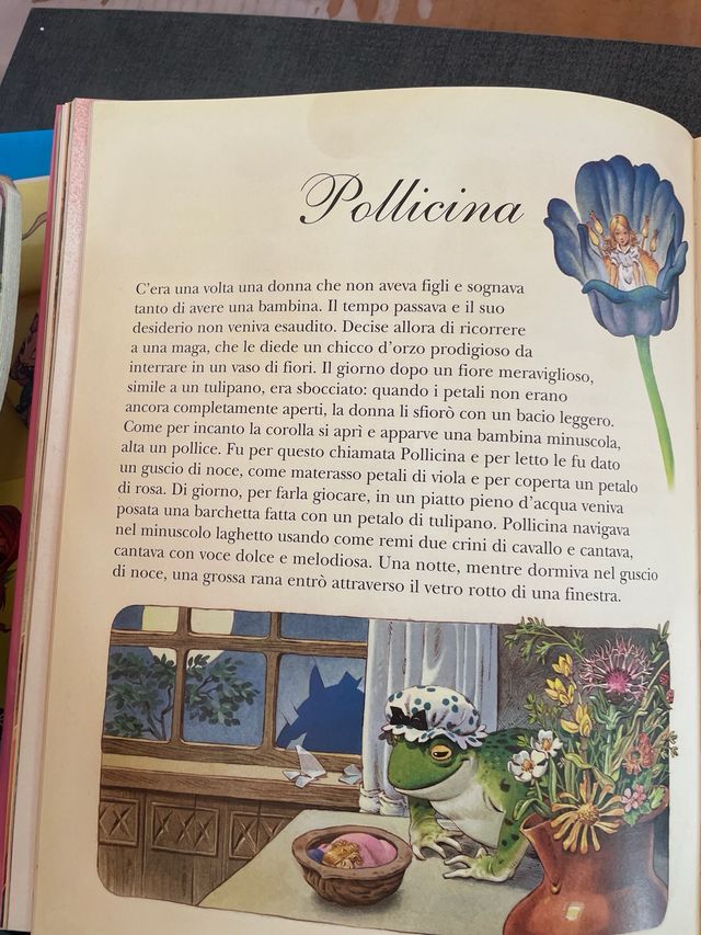 Libro fate e prinicipesse