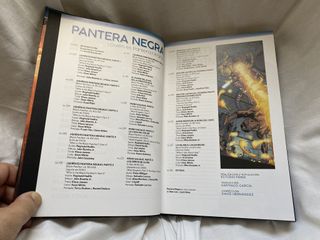 Pantera Negra - ¿Quién es Pantera Negra?