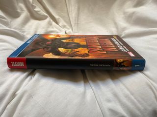 Pantera Negra - ¿Quién es Pantera Negra?