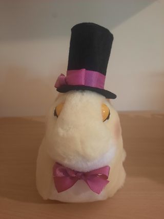 Peluche