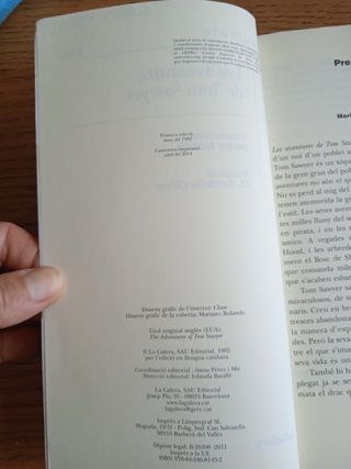 Les aventures de Tom Sawyer