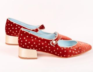Zapatos Flores y floreros