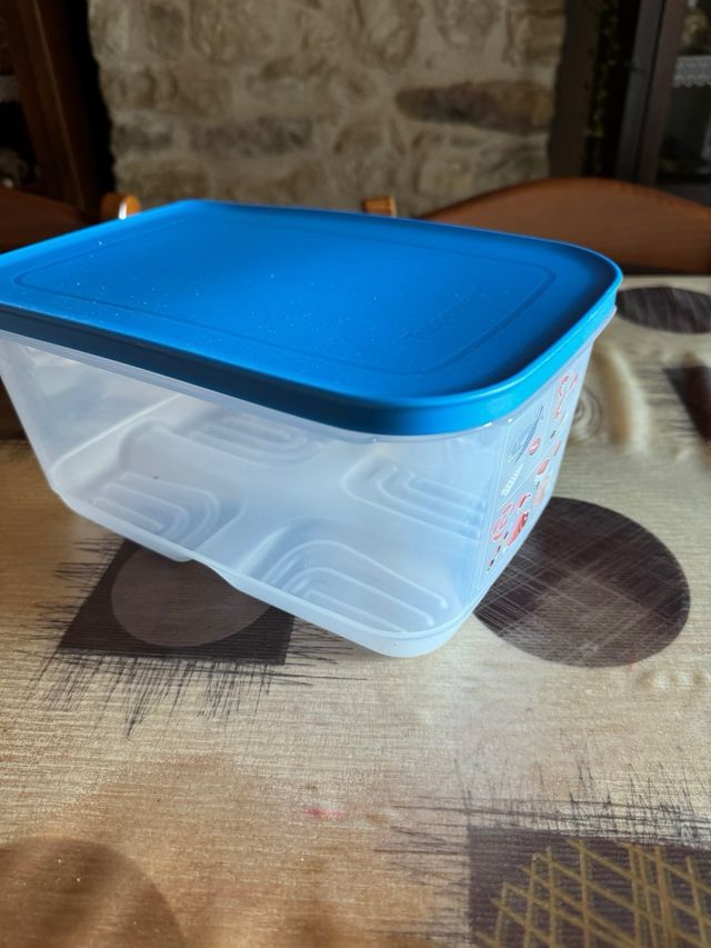 Frigosmart tupperware 4,4 lt