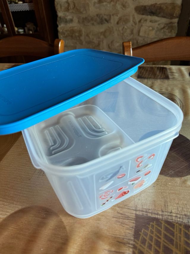 Frigosmart tupperware 4,4 lt
