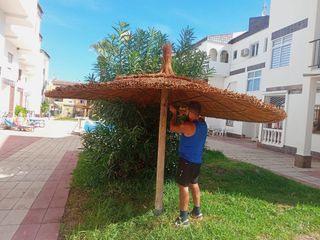 Sombrilla de carri verzo