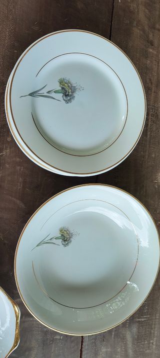 Bonita vajilla vintage