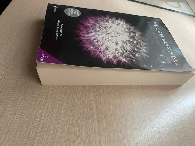 Adivina quién soy esta noche/ Megan Maxwell