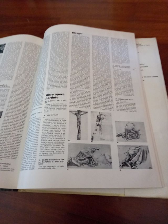 L'opera completa di Grünewald classici dell'arte