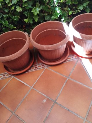 Diferentes tiestos y macetero de hierro .