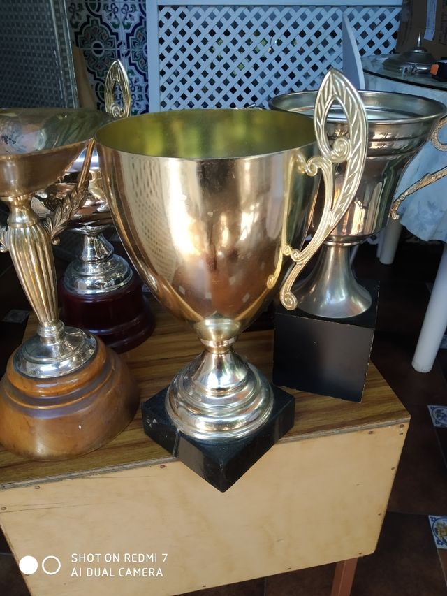 Trofeos, distintos diseños, unidad.