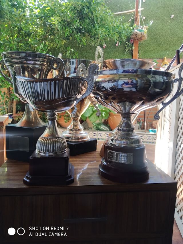 Trofeos, distintos diseños, unidad.