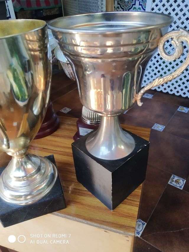 Trofeos, distintos diseños, unidad.