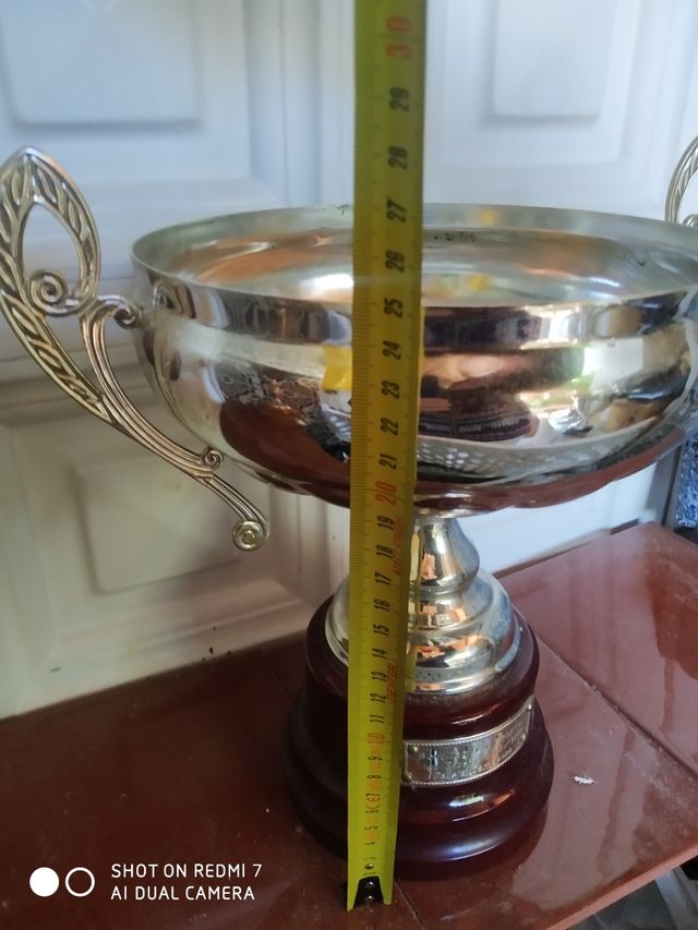 Trofeos, distintos diseños, unidad.