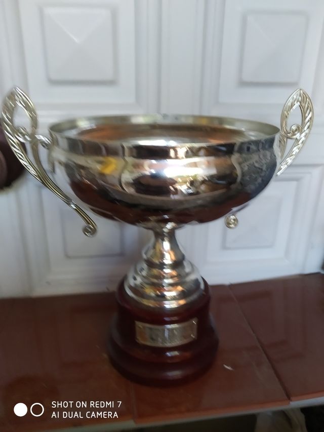 Trofeos, distintos diseños, unidad.