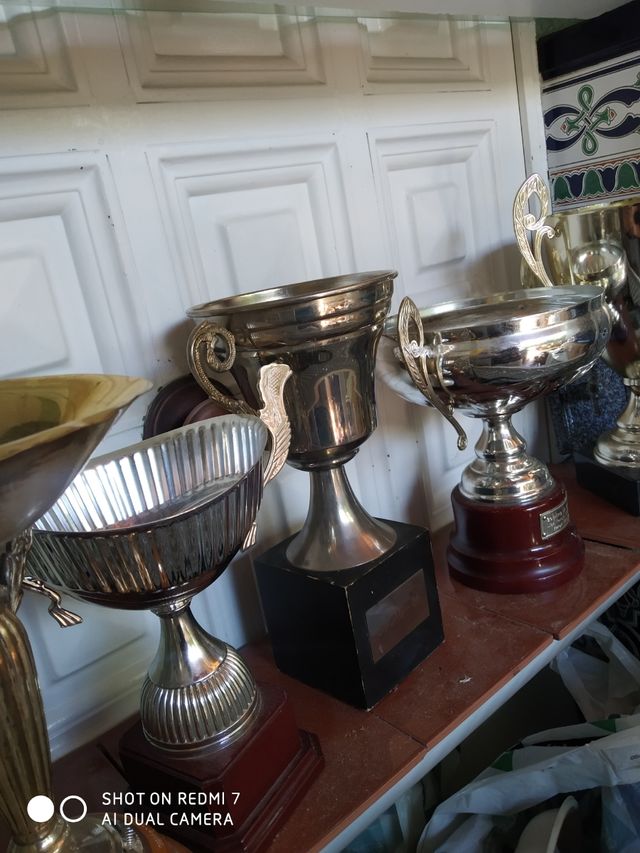 Trofeos, distintos diseños, unidad.