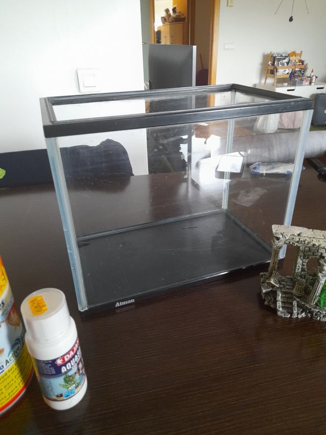 Kit acuario peces