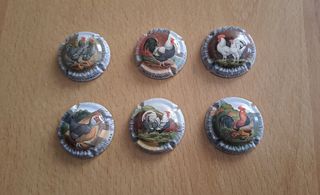 6 placas cava - gallos