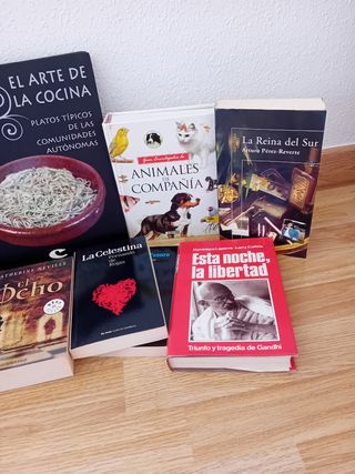 Lote de libros 2