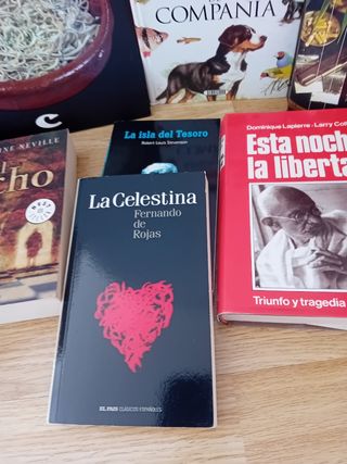 Lote de libros 2
