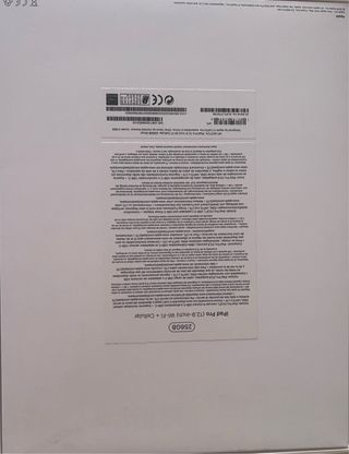 IPad Pro de 12,9 - 256 GB WiFi-Celular