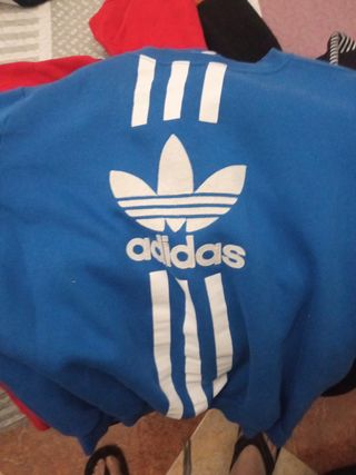Lote completo de sudaderas y una camise
