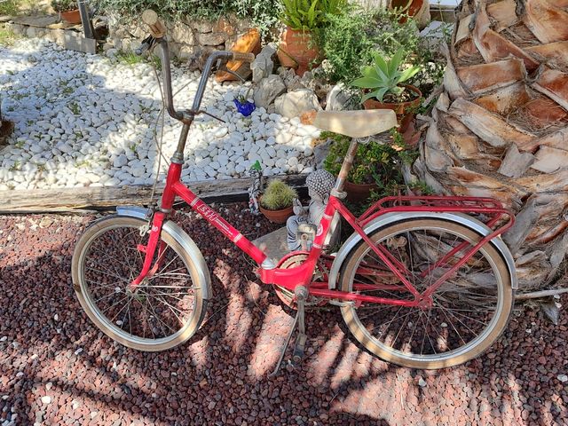 Bicicleta paseao BH plegable