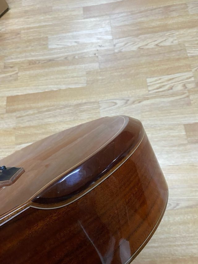 Electroacústica Washburn WCG55